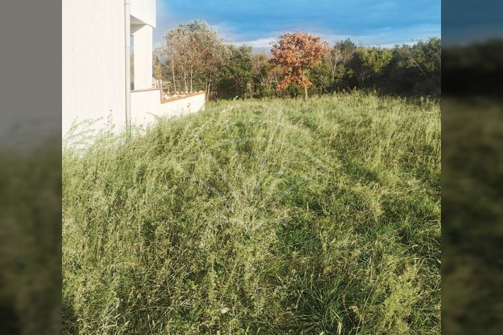 Građevinsko zemljište, Prodaja, Pula, Pula Građevinsko zemljište, Prodaja, Pula, Pula