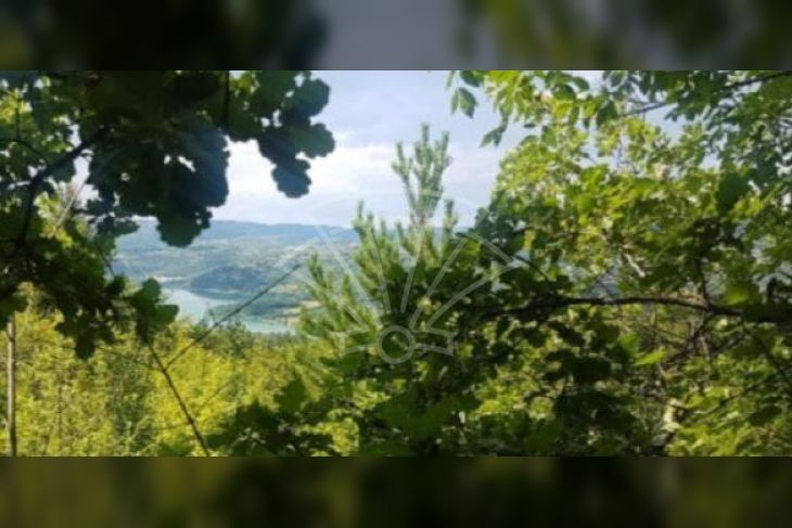 Građevinsko zemljište, Prodaja, Pazin - Okolica, Kršikla Građevinsko zemljište, Prodaja, Pazin - Okolica, Kršikla