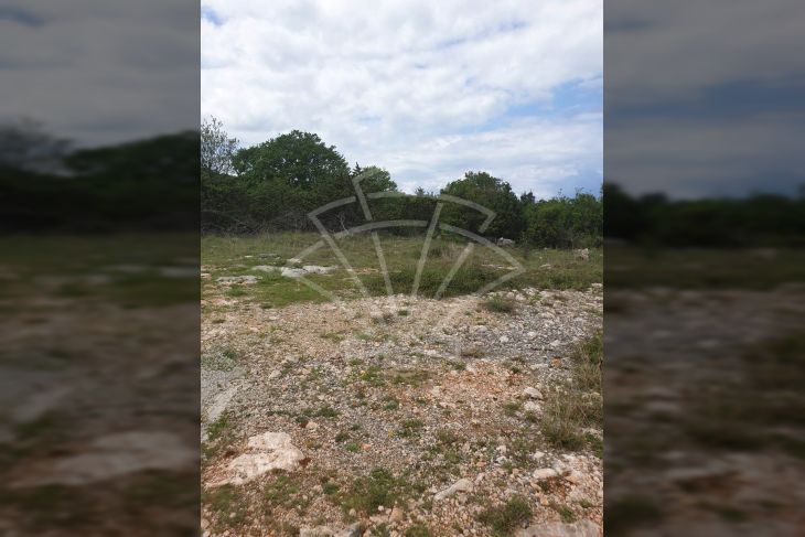 Poljoprivredno zemljište, Prodaja, Vodnjan, Barbariga Poljoprivredno zemljište, Prodaja, Vodnjan, Barbariga