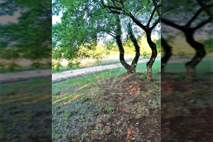 Građevinsko zemljište, Prodaja, Svetvinčenat, Svetvinčenat Građevinsko zemljište, Prodaja, Svetvinčenat, Svetvinčenat