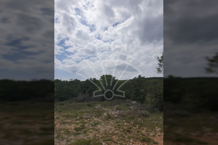 Poljoprivredno zemljište, Prodaja, Vodnjan, Barbariga Poljoprivredno zemljište, Prodaja, Vodnjan, Barbariga