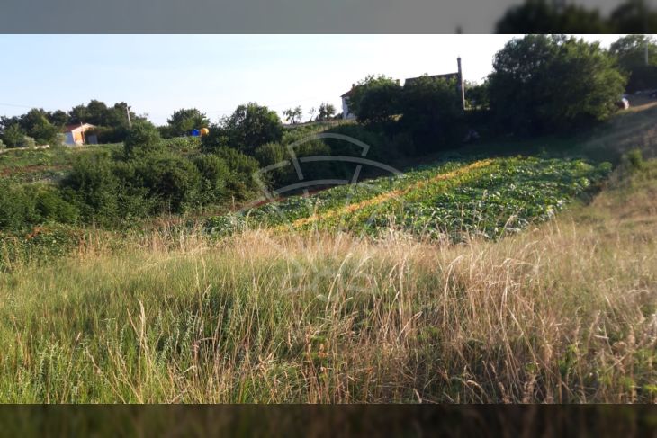 Poljoprivredno zemljište, Prodaja, Višnjan, Prhati Poljoprivredno zemljište, Prodaja, Višnjan, Prhati