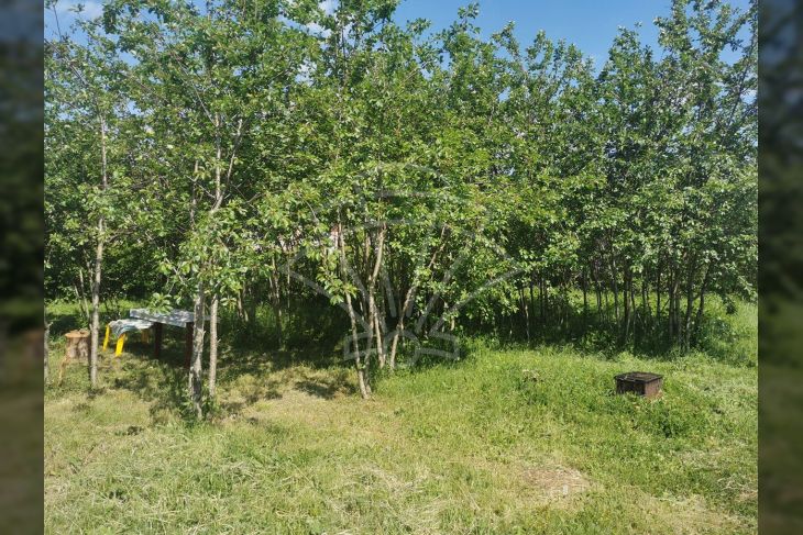 Građevinsko zemljište, Prodaja, Pula, Pula Građevinsko zemljište, Prodaja, Pula, Pula