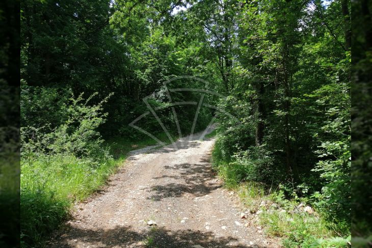 Šuma, Prodaja, Viškovo, Saršoni Šuma, Prodaja, Viškovo, Saršoni