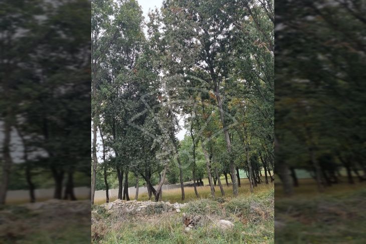 Građevinsko zemljište, Prodaja, Medulin, Medulin Građevinsko zemljište, Prodaja, Medulin, Medulin