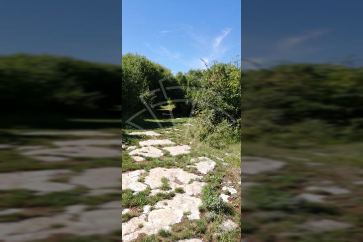 Zemljište - ostalo, Prodaja, Kanfanar, Jural Zemljište - ostalo, Prodaja, Kanfanar, Jural