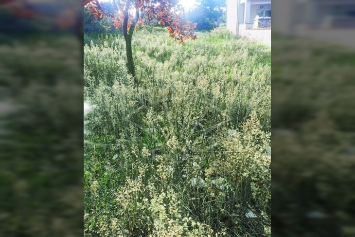 Građevinsko zemljište, Prodaja, Pula, Pula Građevinsko zemljište, Prodaja, Pula, Pula