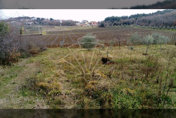 Poljoprivredno zemljište, Prodaja, Poreč, Poreč Poljoprivredno zemljište, Prodaja, Poreč, Poreč