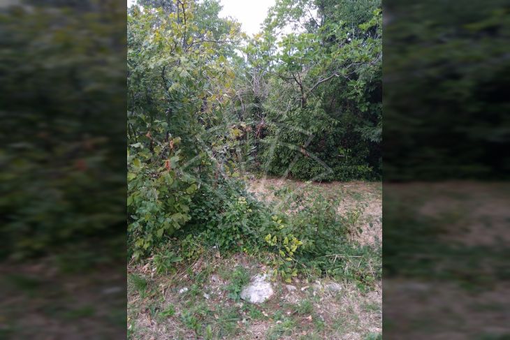 Građevinsko zemljište, Prodaja, Kastav, Rubeši Građevinsko zemljište, Prodaja, Kastav, Rubeši
