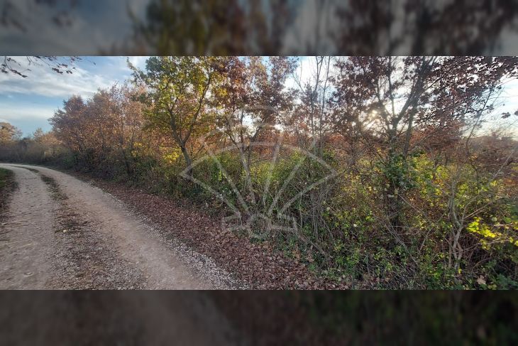 Građevinsko zemljište, Prodaja, Višnjan, Žikovići Građevinsko zemljište, Prodaja, Višnjan, Žikovići