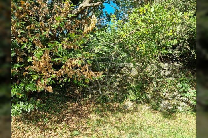 Građevinsko zemljište, Prodaja, Opatija - Okolica, Oprić Građevinsko zemljište, Prodaja, Opatija - Okolica, Oprić