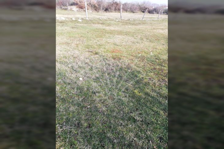 Građevinsko zemljište, Prodaja, Vodnjan, Vodnjan Građevinsko zemljište, Prodaja, Vodnjan, Vodnjan