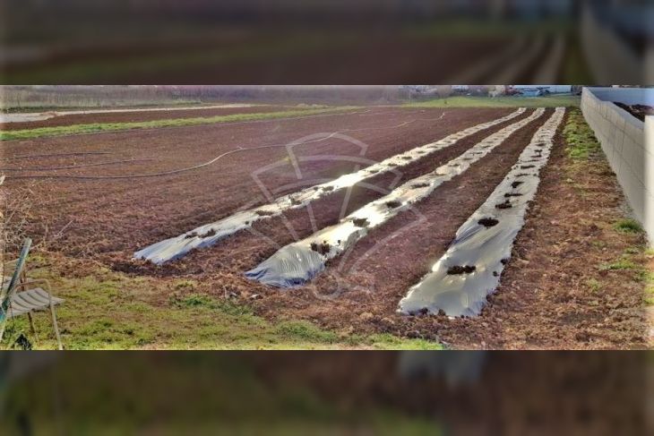 Građevinsko zemljište, Prodaja, Pula, Pula Građevinsko zemljište, Prodaja, Pula, Pula