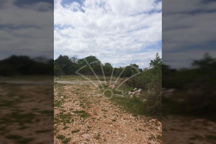 Poljoprivredno zemljište, Prodaja, Vodnjan, Barbariga Poljoprivredno zemljište, Prodaja, Vodnjan, Barbariga