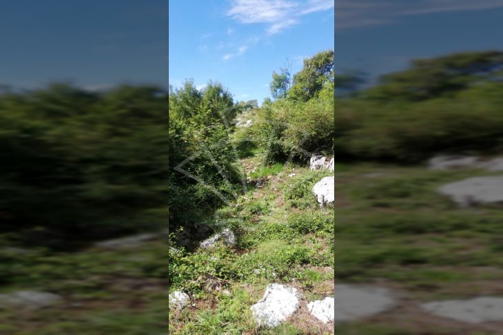 Zemljište - ostalo, Prodaja, Kanfanar, Jural Zemljište - ostalo, Prodaja, Kanfanar, Jural