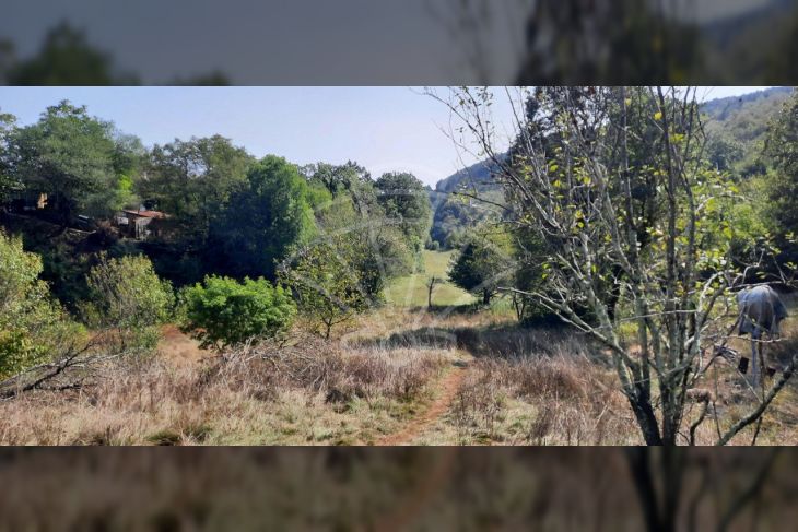 Građevinsko mješovito, Prodaja, Čavle, Podrvanj Građevinsko mješovito, Prodaja, Čavle, Podrvanj