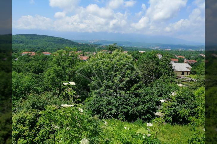 Šuma, Prodaja, Viškovo, Saršoni Šuma, Prodaja, Viškovo, Saršoni
