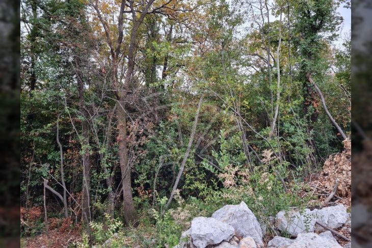 Građevinsko zemljište, Prodaja, Opatija - Okolica, Poljane Građevinsko zemljište, Prodaja, Opatija - Okolica, Poljane