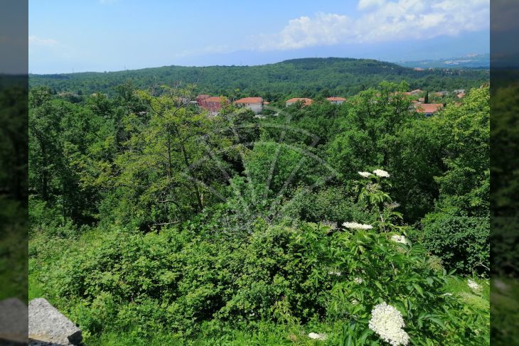 Šuma, Prodaja, Viškovo, Saršoni Šuma, Prodaja, Viškovo, Saršoni