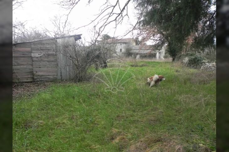 Građevinsko zemljište, Prodaja, Kanfanar, Sošići Građevinsko zemljište, Prodaja, Kanfanar, Sošići