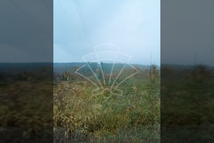 Poljoprivredno zemljište, Prodaja, Višnjan, Bačva Poljoprivredno zemljište, Prodaja, Višnjan, Bačva