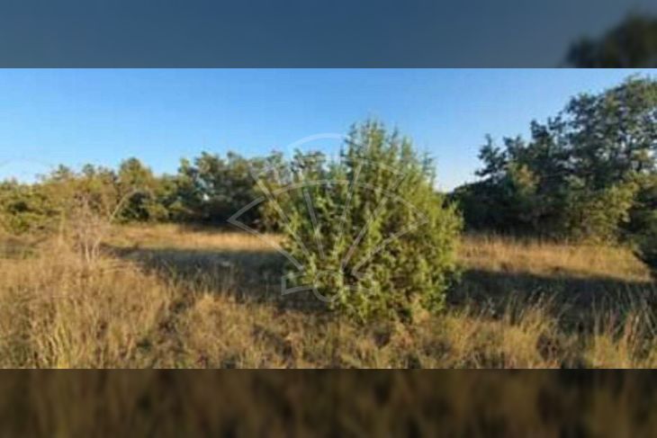 Poljoprivredno zemljište, Prodaja, Svetvinčenat, Štokovci Poljoprivredno zemljište, Prodaja, Svetvinčenat, Štokovci