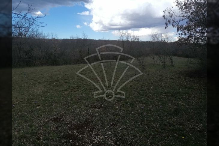 Poljoprivredno zemljište, Prodaja, Marčana, Peruški Poljoprivredno zemljište, Prodaja, Marčana, Peruški