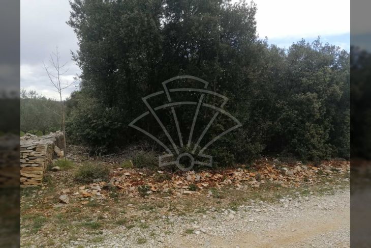 Poljoprivredno zemljište, Prodaja, Marčana, Marčana Poljoprivredno zemljište, Prodaja, Marčana, Marčana