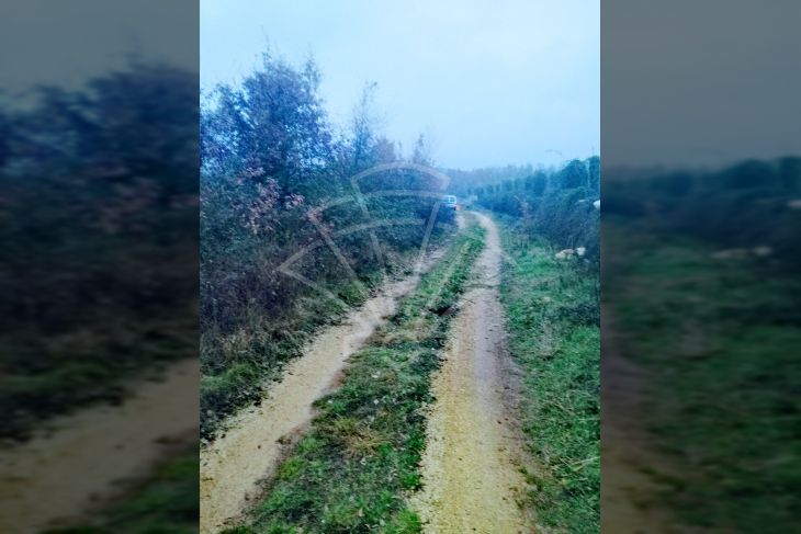 Poljoprivredno zemljište, Prodaja, Višnjan, Bačva Poljoprivredno zemljište, Prodaja, Višnjan, Bačva