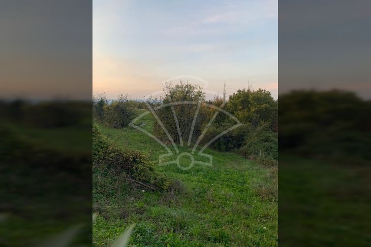 Građevinsko zemljište, Prodaja, Pazin - Okolica, Kršikla Građevinsko zemljište, Prodaja, Pazin - Okolica, Kršikla