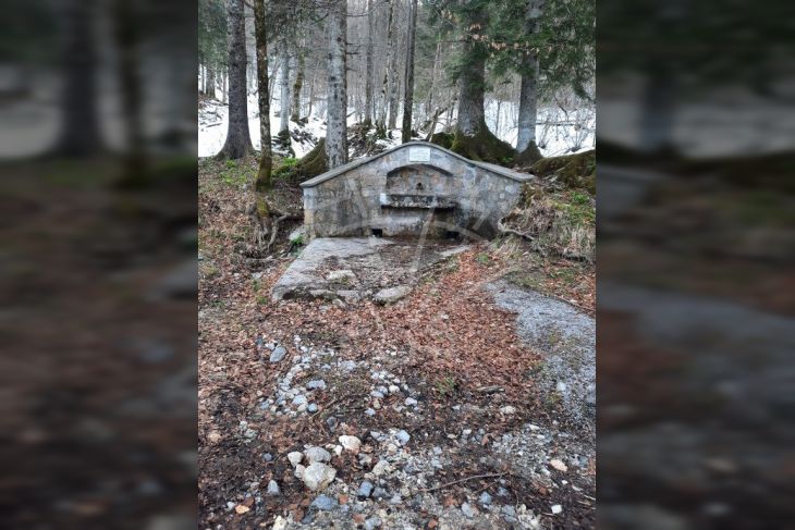 Poljoprivredno zemljište, Prodaja, Čabar, Gerovo Poljoprivredno zemljište, Prodaja, Čabar, Gerovo
