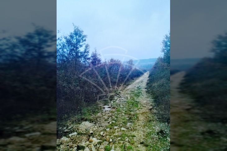 Poljoprivredno zemljište, Prodaja, Višnjan, Bačva Poljoprivredno zemljište, Prodaja, Višnjan, Bačva