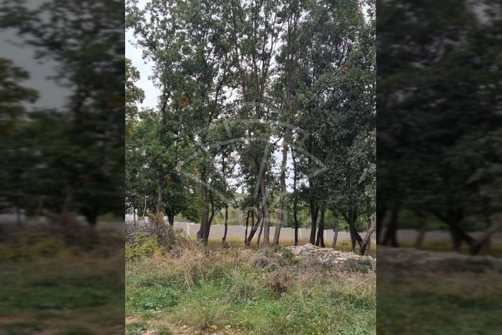 Građevinsko zemljište, Prodaja, Medulin, Medulin Građevinsko zemljište, Prodaja, Medulin, Medulin