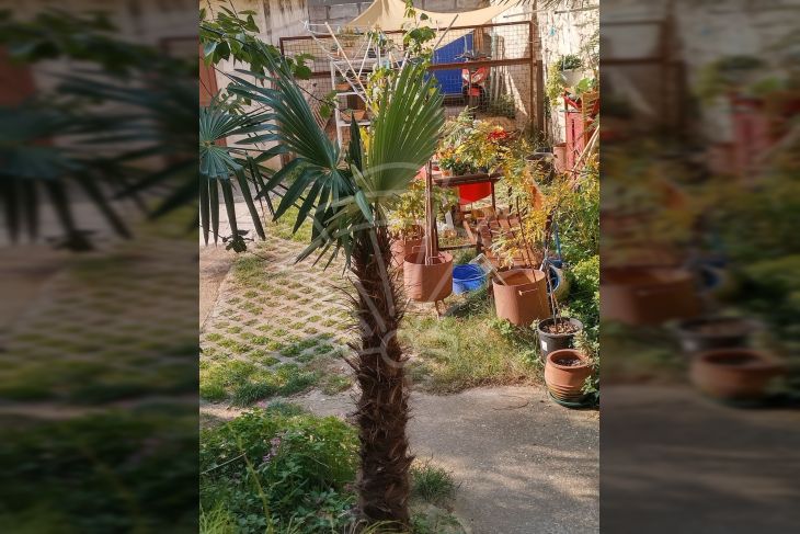 Stan u zgradi, Prodaja, Pula, Pula Stan u zgradi, Prodaja, Pula, Pula