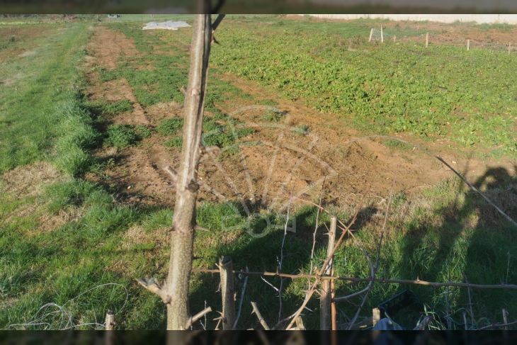 Građevinsko zemljište, Prodaja, Pula, Pula Građevinsko zemljište, Prodaja, Pula, Pula