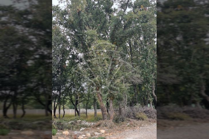 Građevinsko zemljište, Prodaja, Medulin, Medulin Građevinsko zemljište, Prodaja, Medulin, Medulin